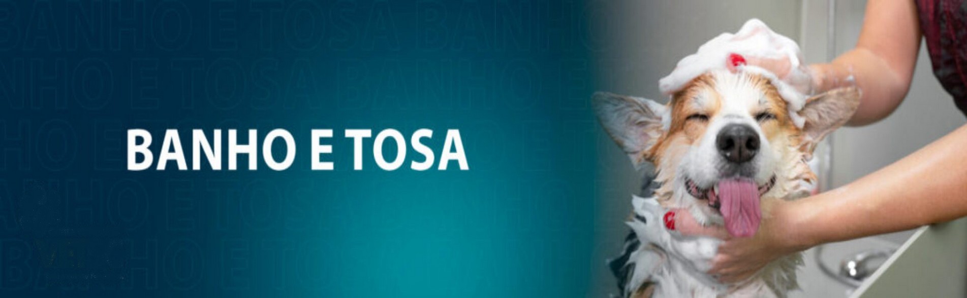 Banho e Tosa